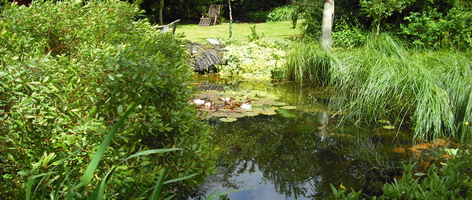 Kreuzfahrten durch den Garten der Liebe -  Traumg�rten - G�rten zum Tr�umen